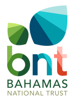 BNT-Logo (2)
