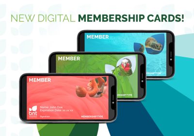 New-Digital-Membership-Cards-Promo